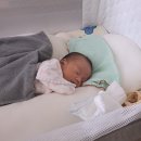 천안두정중학교 | 사임당 천안 아산 산후도우미 베이비시터 쌍둥이 전문 비용 후기