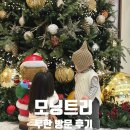 럭키-짱 | [대전 유성 모닝트리] 연말분위기 대형카페, 아기랑 n번째 무한 방문중 찐 후기