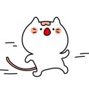 캐비어동물메디컬센터 이미지