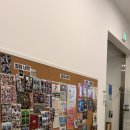 스크린 영어회화 | [천안 불당/컬컴 Culcom] 천안 성인 영어회화 후기(레벨 테스트, 5개월 다닌 후기)