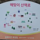 [강릉/동해 2박3일] ② 동해바다를 품은 힐링의 &#39;임해자연휴양림&#39;