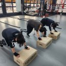 이은혜 복싱클럽 이미지