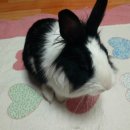 금비약국 이미지