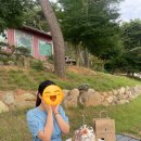 루몽드917 이미지