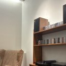 스톤래빗 이미지