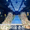 춘천더�� | 춘천 결혼식장 하객 후기 :: 더테라리움 춘천