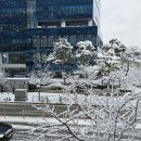 대설 주의보 이미지