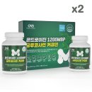 (주)뉴트리션바이오 이미지
