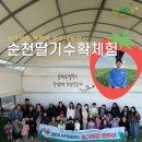 남기농장 | 순천 농가체험 딸기수확체험 푸르디농장 순천로컬푸드와 함께 따뜻한 연말 보내기 팸투어 후기