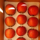 오복농장 이미지