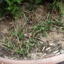 문화의 거리 이미지