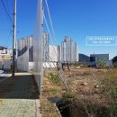 웅천중학교 이미지