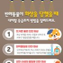 장판24시 이미지