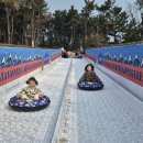 솜팡 이미지