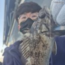 은아호