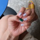 네일리체