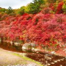 단풍은 내장산급, 사람은 없어요&#34; 한적해서 더 좋은 가을 트레킹 명소 이미지