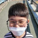 팝스옵티크 이미지