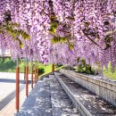 합도초등학교 이미지