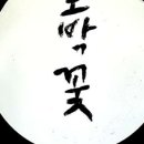 호박꽃마차천안