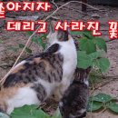 꽃님이 이미지