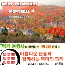 럭키관광여행사 이미지