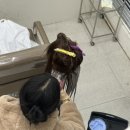 헤어터치미용실 이미지