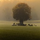 물처럼 바람처럼 이미지