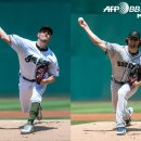 콜 - 남구 삼산로35번길 3 | 콜