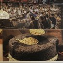 빈대떡신사 이미지