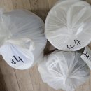 뚱이네 돼지국밥 이미지