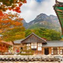 솔섬마을 관광펜션 이미지