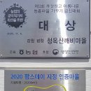 청옥산깨비마을 야영장 이미지