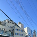 봉생보건진료소 | 동래 코로나 선별진료소: 동래봉생병원 코로나검사(무료) 후기