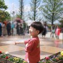 안경해라 | 이야이야오 유아티셔츠 입고, 고양 꽃박람회 구경 다녀왔어요 ♬