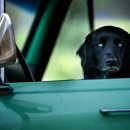 이수야 농장 이미지