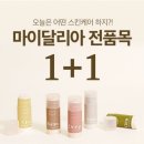 마이 달리아 이미지