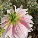 (주)정원팜 이미지