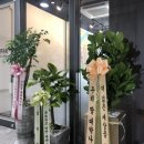 푸르지오강남공인중개사사무소 이미지