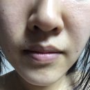세디르 이미지
