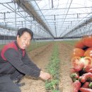 수일농장 이미지