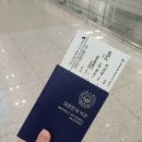석현로 46번길7 | 2026 7/8 싱가포르 1일차(1): 싱가포르 항공 SQ607 탑승 후기, 싱가포르 입국