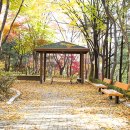 도장공원길 이미지