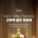 골든슈즈 이미지