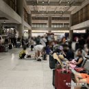 와투어 | [20230913-18]필리핀 세부 4박 6일_오슬롭 고래상어 투어 / 투말폭포 / 알레그리아 캐녀닝 (와투어 후기)