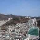 대림 프라자 골프연습장 Daum카페