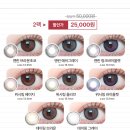 렌즈베리 이미지