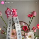 헤쎄드플라라 이미지