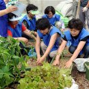 우리농산물판매장 이미지