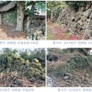 한경면 산양리(청수리) 연화동 앞ᄆᆞ르성(마을성담) 이미지